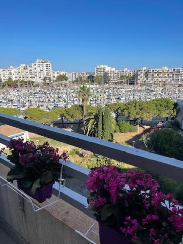 Studio Cabine Vue Mer Et Port Carnon-Plage Kültér fotó