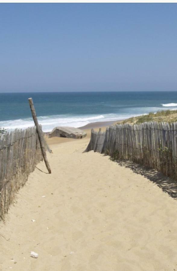 Studio Cabine Vue Mer Et Port Carnon-Plage Kültér fotó