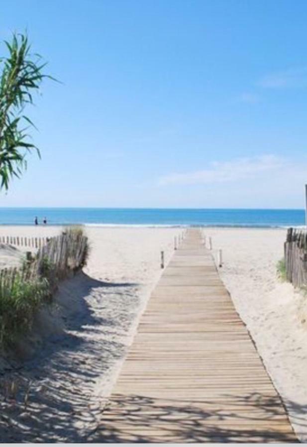 Studio Cabine Vue Mer Et Port Carnon-Plage Kültér fotó